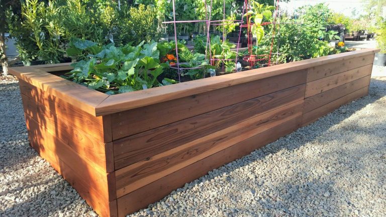 How to Build Raised Garden Bed & What Are the Benefits