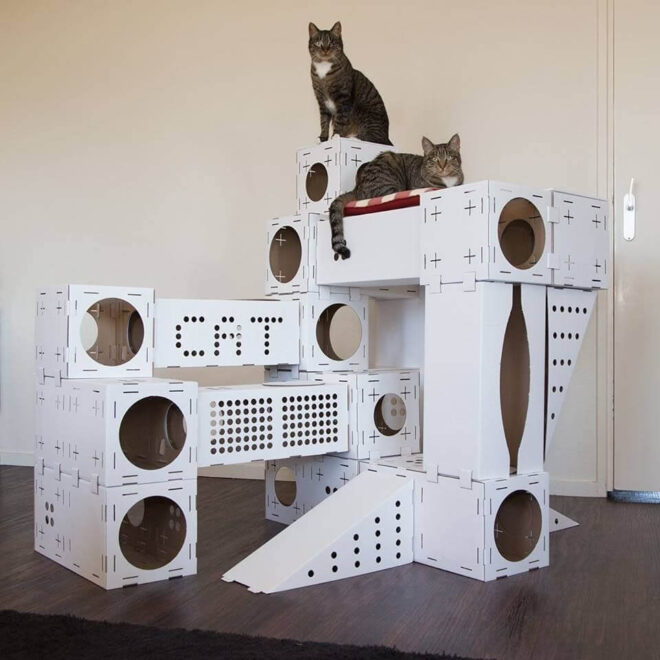 15 DIY Cardboard Cat House Ideas That Your Cat Will Love