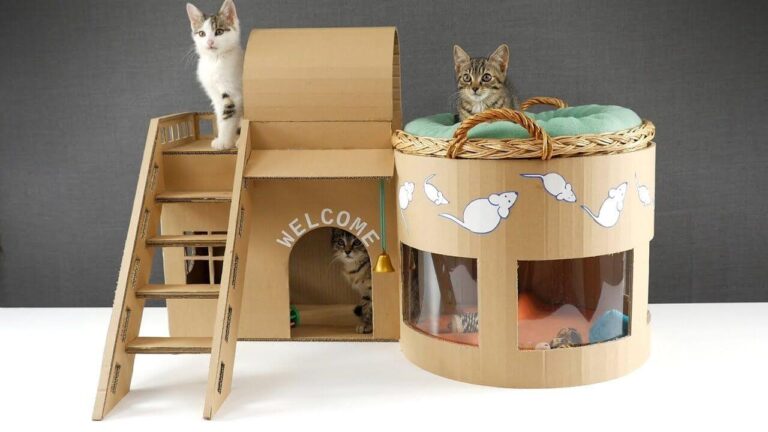 15 Diy Cardboard Cat House Ideas That Your Cat Will Love