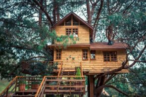 Cool Pictures of Tree Houses ideas