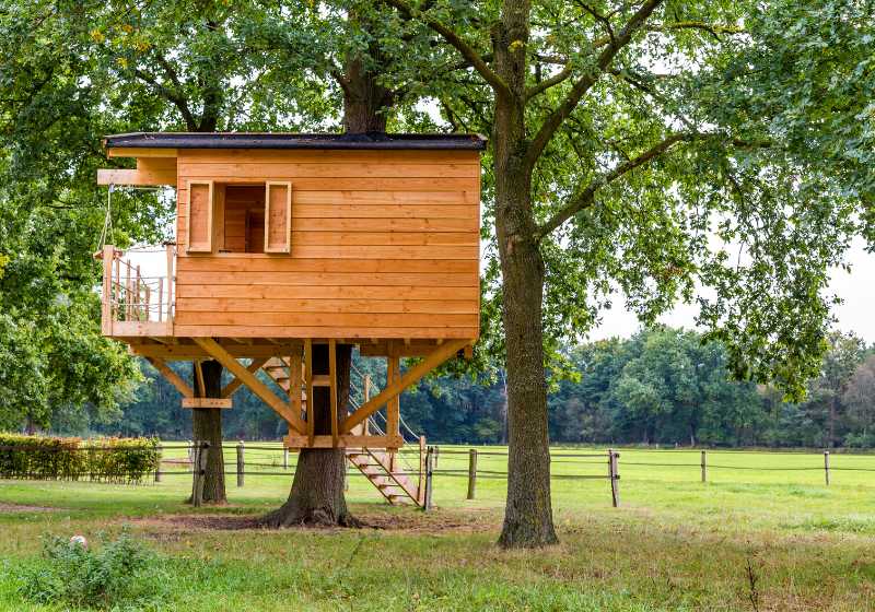 Treehouse Stairs ideas. Best Inspiration for Kids