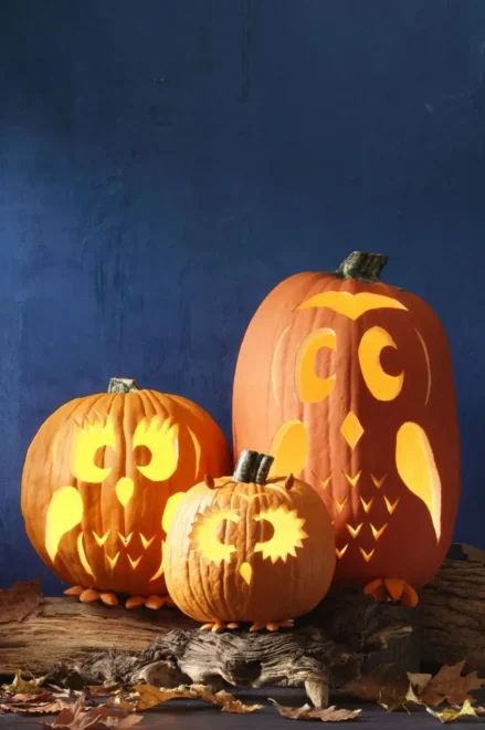 Three carved pumpkins with lit interiors, featuring a traditional jack-o’-lantern, a laughing face, and an owl design