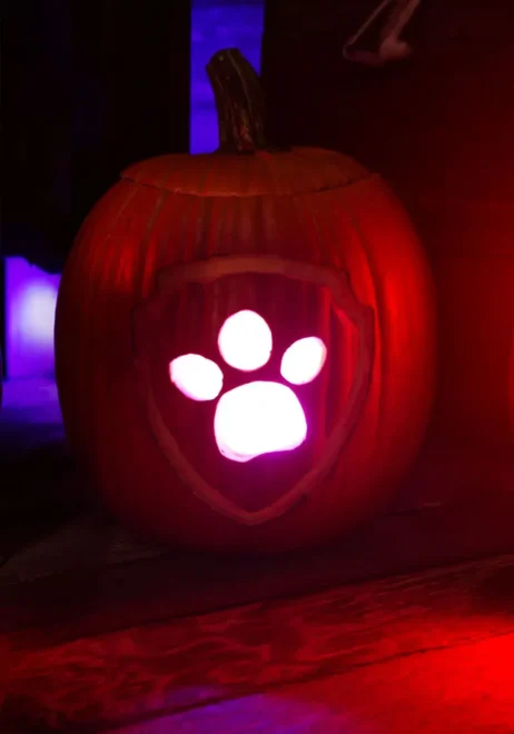 Pumpkin carving with a paw print design, glowing warmly from within, perfect for easy and cool Halloween decorations with a pet-friendly twist